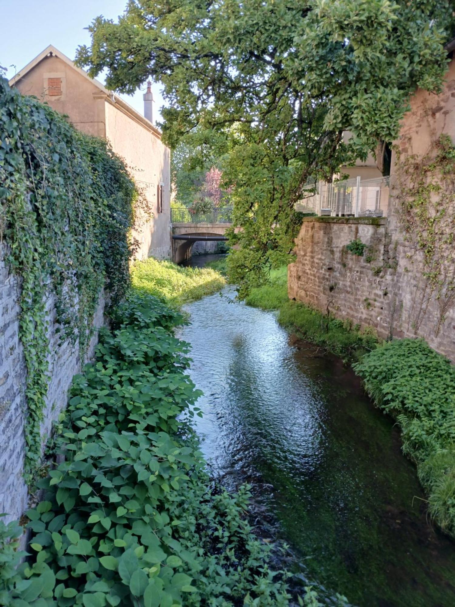 Manoir La Cerise Bed and Breakfast Fougerolles-Saint-Valbert Buitenkant foto